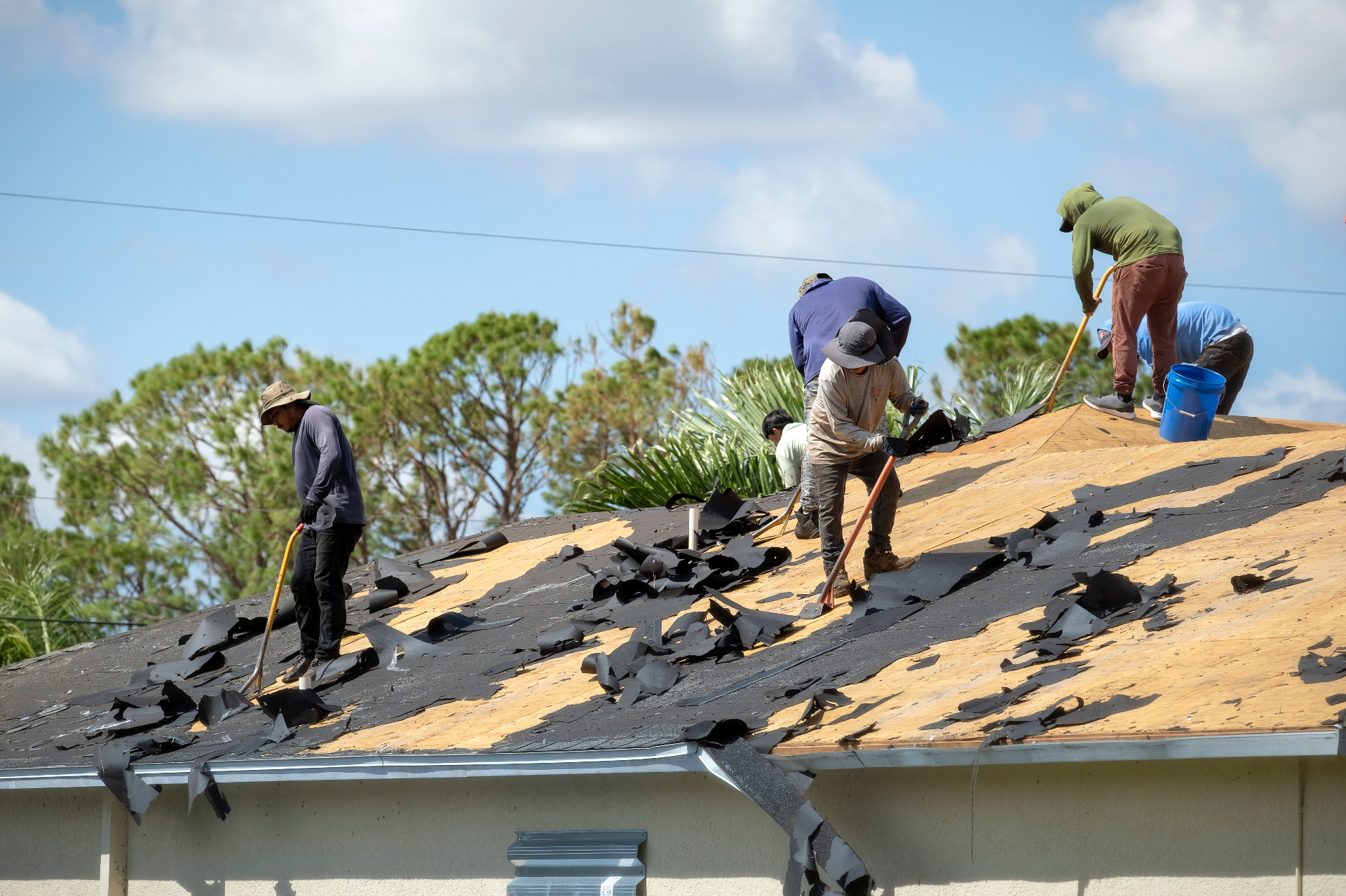 Carrollwood Roofing Contractor – Expert Roof Services for Your Neighborhood